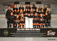 Twins.U13AA_team copy