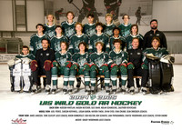 AAWild.U15Gold_team