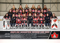 AvrosU18AAA_team
