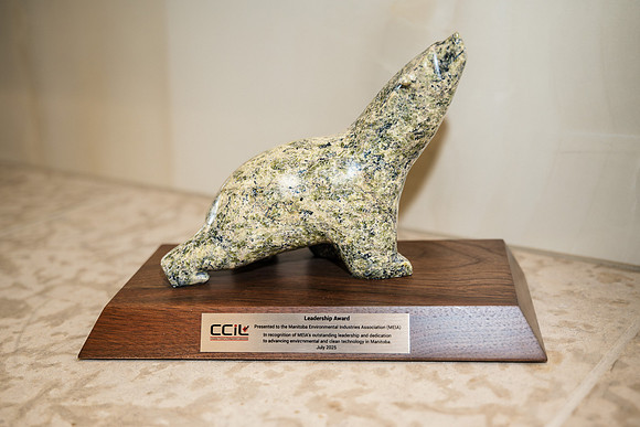 CCIL-2025-113