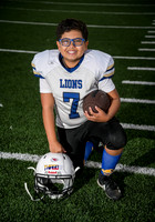 LionsAtom-017