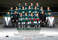 Wild.U15.Green_team