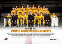 AAA.U15.BruinsGold_team