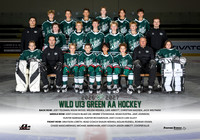 AA.Wild.U13.Green_team