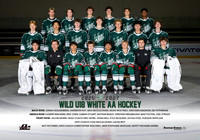 AA.Wild.U18.White_team
