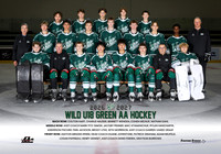 AA.Wild.U18.Green_team