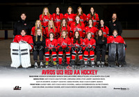 AvrosU13Red_team