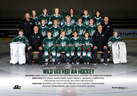 U13.AA.Wild.Red_team
