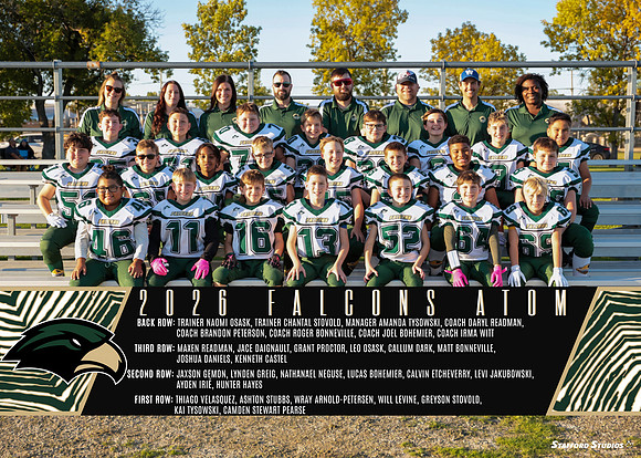 FalconsAtom_team