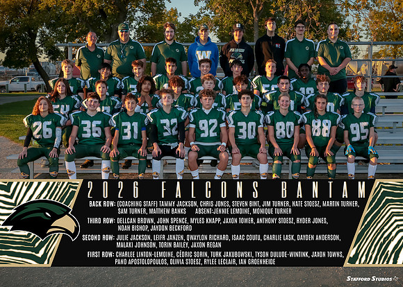 Falcons.Bantam_team