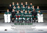 Wild.U15.Gold_team