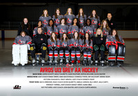 AA.Avros.U13Grey_team