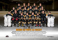 U13.AA.Bruins.White_team