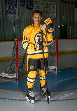 BruinsU15Gold-003