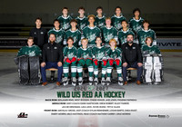 Wild.U15.Red_team