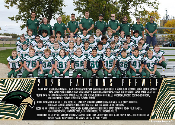 Falcons.Peewee_team