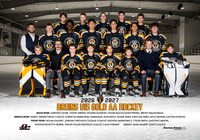 BruinsU15Gold_team