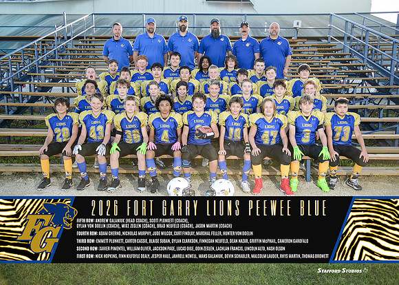 LionsPW.Blue_team